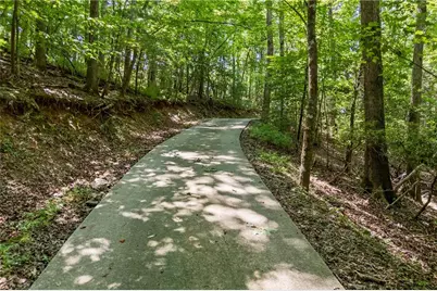 439 Nighthawk View, Demorest, GA 30535 - Photo 27