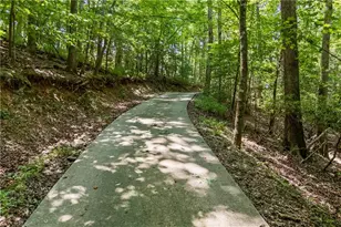 439 Nighthawk View, Demorest, GA 30535 - Photo 27