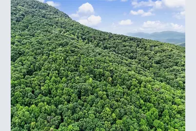 1583 Spring Cove Road, Blairsville, GA 30512 - Photo 61