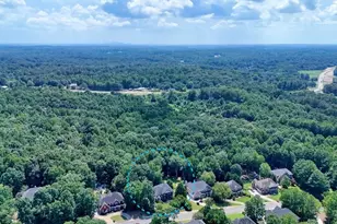 110 Ridge View Dr, Ball Ground, GA 30107 - Photo 71