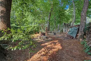 3002 High Vista Walk, Woodstock, GA 30189 - Photo 47