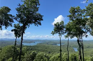970 Lakeview Dr, Blue Ridge, GA 30513 - Photo 1