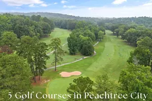 910 Laurel Brooke Ave, Peachtree City, GA 30269 - Photo 97