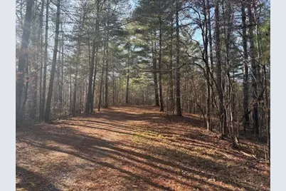 2081 Jerusalem Church Road, Jasper, GA 30143 - Photo 17