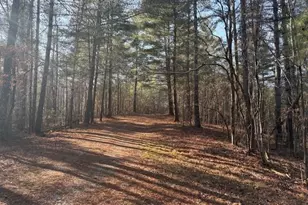 2081 Jerusalem Church Rd, Jasper, GA 30143 - Photo 17
