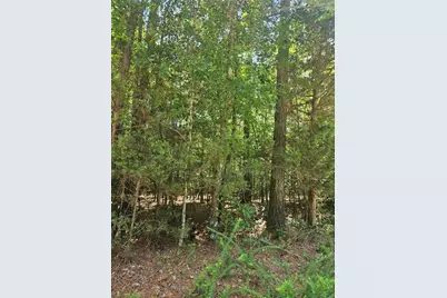 292 McCannon Tract 3A, Carlton, GA 30627 - Photo 11