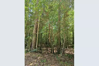 292 McCannon Tract 3A, Carlton, GA 30627 - Photo 7