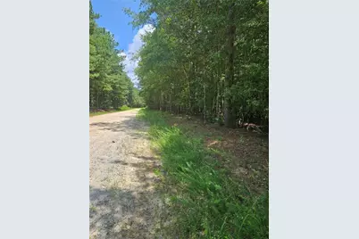 292 McCannon Tract 3A, Carlton, GA 30627 - Photo 1