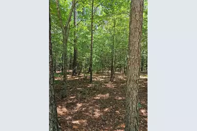 292 McCannon Tract 3A, Carlton, GA 30627 - Photo 5