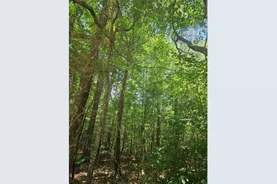 292 McCannon Tract 3A, Carlton, GA 30627 - Photo 13