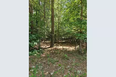 292 McCannon Tract 3A, Carlton, GA 30627 - Photo 3