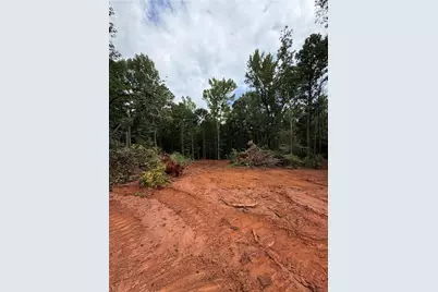225 Oak Court, Williamson, GA 30292 - Photo 3