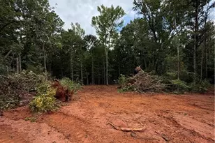 225 Oak Ct, Williamson, GA 30292 - Photo 3