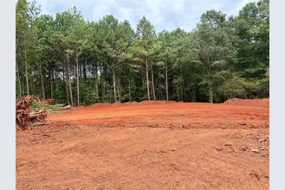 237 Wisteria Lane, Williamson, GA 30292 - Photo 3