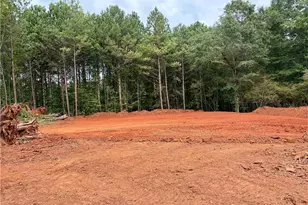 3 Wisteria Ln, Williamson, GA 30292 - Photo 3