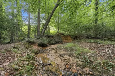 3651 Ledan Road, Gainesville, GA 30506 - Photo 59