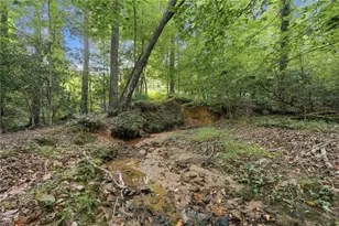 3651 Ledan Rd, Gainesville, GA 30506 - Photo 59