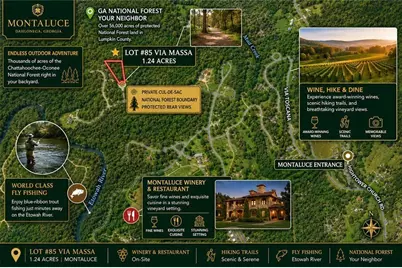 85 Via Massa, Dahlonega, GA 30533 - Photo 11