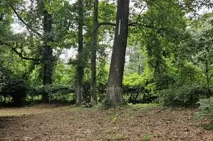 3069 McKenzie Rd, East Point, GA 30344 - Photo 11