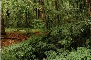 200 Old Woodring Rd, Ellijay, GA 30540 - Photo 13