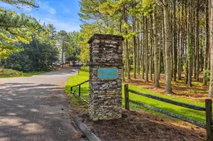 4205 Loftwood Dr, Cohutta, GA 30710 - Photo 97