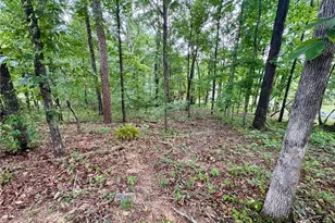 4205 Loftwood Dr, Cohutta, GA 30710 - Photo 9