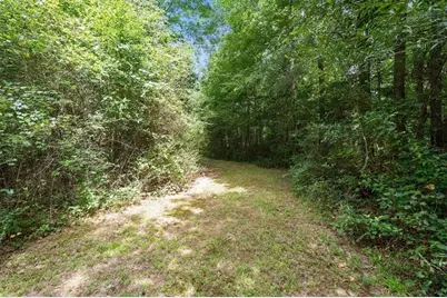 590 W Highway 5, Roopville, GA 30170 - Photo 57
