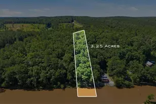 21 River Rd, Woodland, GA 31836 - Photo 55