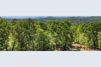 769 Voylestown Road, Morganton, GA 30560 - Photo 29