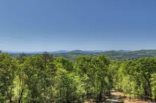 769 Voylestown Rd, Morganton, GA 30560 - Photo 29