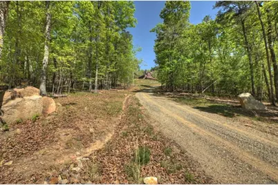 769 Voylestown Road, Morganton, GA 30560 - Photo 67