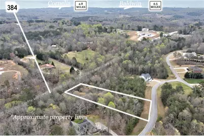 450 Beachwood Drive, Cornelia, GA 30531 - Photo 5