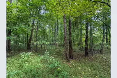 0 Highway 19 N, Dahlonega, GA 30533 - Photo 19
