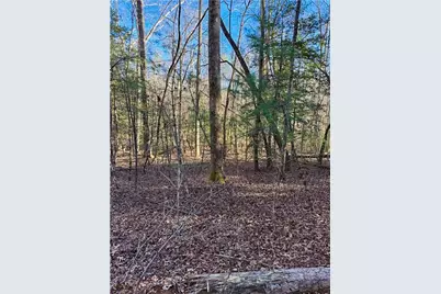 0 Highway 19 N, Dahlonega, GA 30533 - Photo 25