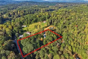 100 Red Plum Dr, Ellijay, GA 30540 - Photo 45