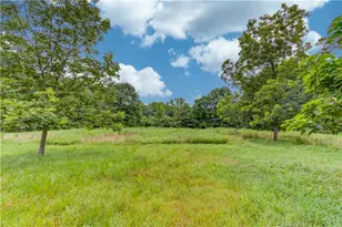 492 Gumlog Creek, Martin, GA 30557 - Photo 41