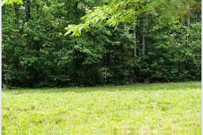 0 Hanes Road, Oakman, GA 30732 - Photo 7
