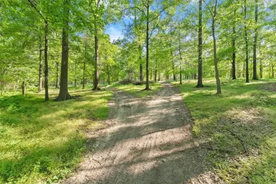 360 Davenport Road, Braselton, GA 30517 - Photo 13