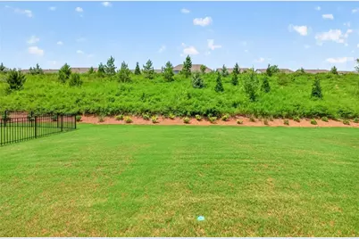 178 Bear Way, Hoschton, GA 30548 - Photo 25