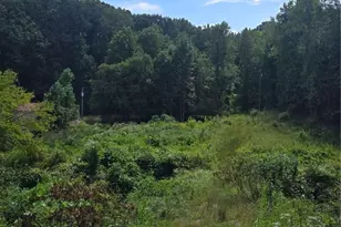 [Address not provided], Cleveland, GA 30528 - Photo 1