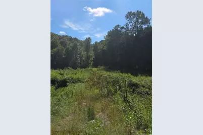 [Address not provided], Cleveland, GA 30528 - Photo 3