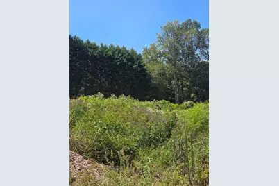 [Address not provided], Cleveland, GA 30528 - Photo 5