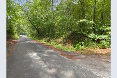 0 Pickett Bridge Road, Covington, GA 30016 - Photo 3