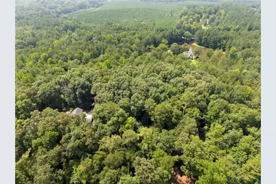 0 Pickett Bridge Road, Covington, GA 30016 - Photo 5