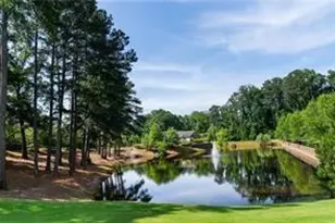315 Still Pine Bend, Smyrna, GA 30082 - Photo 43
