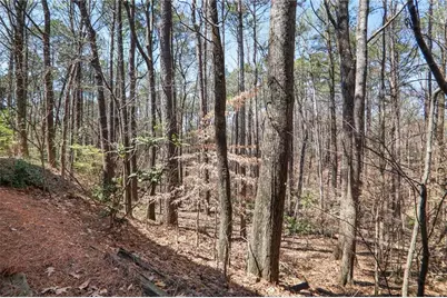 210 Woodcliff Drive, Atlanta, GA 30350 - Photo 19