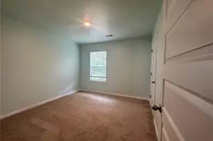 146 Silver Birch Pass, Newnan, GA 30265 - Photo 13