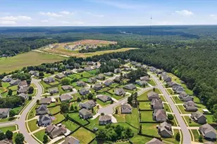2225 Blackberry Ct, Monroe, GA 30656 - Photo 59