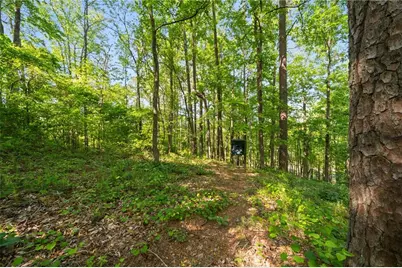 311 Woodland Brook Drive, Canton, GA 30115 - Photo 63
