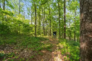 311 Woodland Brook Dr, Canton, GA 30115 - Photo 63